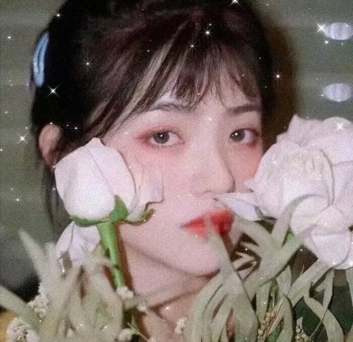 他的摩托车，她的岛