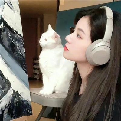 占领自由邦